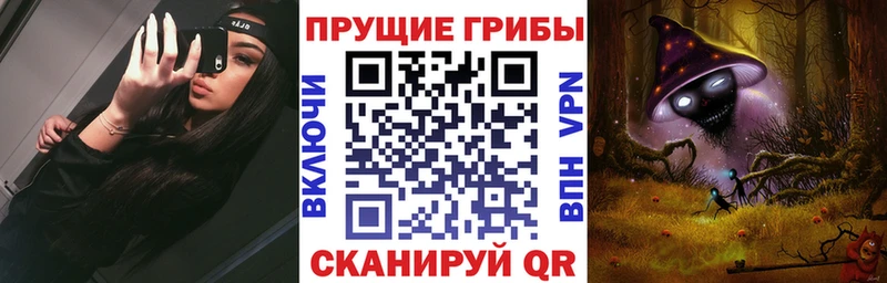 закладки  МЕГА сайт  Псилоцибиновые грибы GOLDEN TEACHER  Цимлянск 